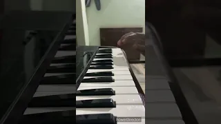 Pasi chilaka song piano cover