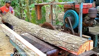 Ini yang lebih menarik, penggergajian kayu mahoni di buat usuk dengan hasil yang cemerlang
