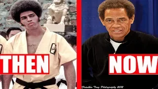 Enter the Dragon 1973 Cast: Then and Now