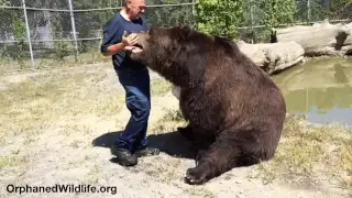 Jimbo pulls Jim AWAY from the water!