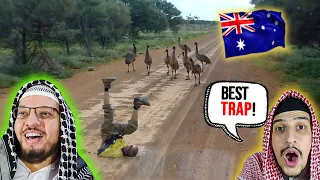 Arab Muslim Brothers React To 50 OUTRAGEOUS Wild Animal Moments From AUSTRALIA!