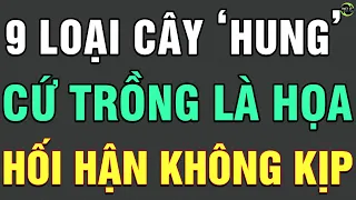 9 Loại Cây QUANH NHÀ Dù Thích Cũng Đừng Dại Trồng BỆNH TẬT TRIỀN MIÊN Tán Gia Bại Sản Hối Hận Ko Kịp