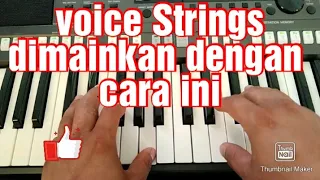 Cara Mengiring Lagu Dengan Voice Strings