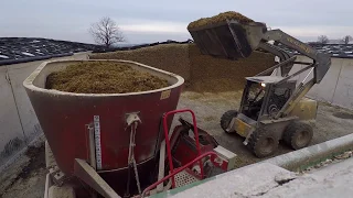 Mixing Feed for Dairy Cows