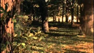 Catweazle Series 2 Episode 10 - The Walking Trees (Part 1)