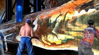 Amazing.. Sawing The Biggest And Dangerous Teak wood Devil In The Sawmill