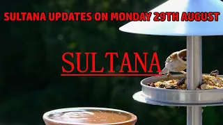 SULTANA CITIZEN TV MONDAY 29TH AUGUST 2022 FULL EPISODE PART 1 AND 2