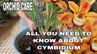 A Comprehensive Cymbidium Culture and Flowering Guide"