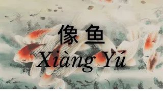 Xiang Yu  像鱼 - 王贰浪 Cover by : 許莉潔 ZJ Hsu 【动态歌词 Pinyin Lyrics】