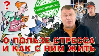 Стресс и поведение в стрессовых ситуациях