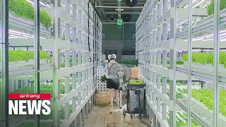 Urban smart farms grow vegetables in Seoul's subway stations and rooftops