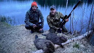 Bäverjakt i magiska Värmland - Magical beaver hunting in Värmland