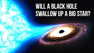 What happens if a star collides with a black hole?