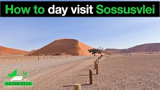 How to do a day visit to Sossusvlei & Deadvlei 🇳🇦