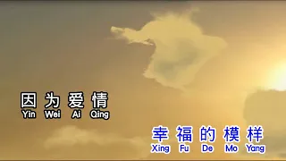 莫文蔚 Karen Mok  因为爱情  yin wei ai qing