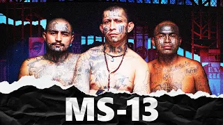 MS-13. Найбільша вулична банда світу