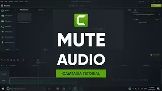 Mute Audio | Camtasia Tutorial