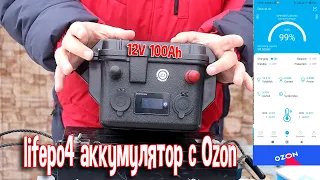 LiFePO4 аккумулятор с Ozon на 100 A/h