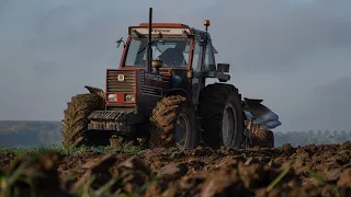 Fiat 130-90 au labour avec 8 fers Grégoire-Besson