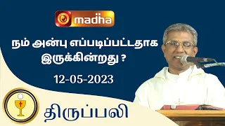 🔴 LIVE 12 MAY 2023 Holy Mass in Tamil 06:00 PM (Evening Mass) | Madha TV