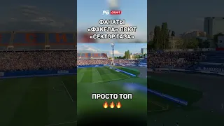 ФАНАТЫ «ФАКЕЛА» ПОЮТ «СЕКТОР ГАЗА». НЕРЕАЛЬНАЯ АТМОСФЕРА🔥 #футбол #рпл #факел #паринн #секторгаза