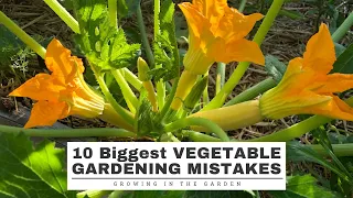 10 BIGGEST Vegetable GARDEN MISTAKES: And How to Avoid Them