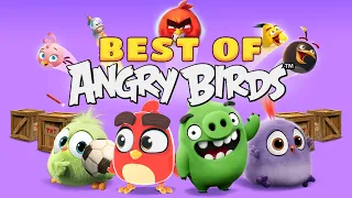 Best Of Angry Birds | Chapter 1