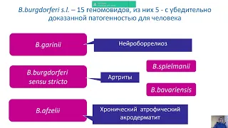 Клещевые инфекции в Республике Беларусь: что полезно знать каждому клиницисту?