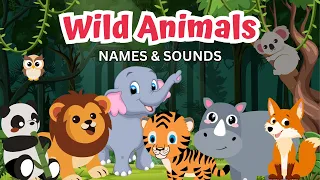 WILD ANIMALS | Animals For Kids | Animal Sounds | Vocabulary