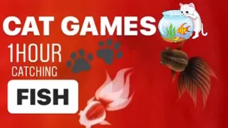 CAT GAMES - Catching fish Entertainment Video for Cats to Watch.