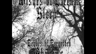 Wishes of Eternal Sleep - Echoes of Forgotten Shadows (2014)