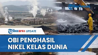 Melihat Lebih Dekat Pulau Obi, Kota Tersembunyi Penghasil Nikel Kelas Dunia dengan Valuasi Rp 100 T