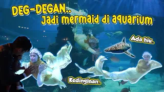 DETIK-DETIK SEBELUM JADI MERMAID AQUARIUM!! Ada Hiu Buas.. 😵‍💫