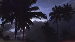 Fridayy - don’t give up on me {slowed + reverb} w/ palm trees