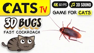 CAT TV - 3D cockroach 🙀🪳 Best game for CATS 😻📺 [4K]