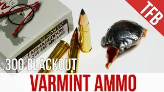 Would You Trust This Varmint Ammo For Defense? Nosler .300 AAC 110gr Varmaggedon Gel Test