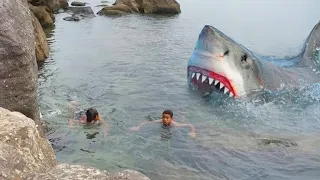 No Mires Este Video Si Tienes Miedo a Los Tiburones 😨