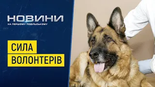 У першому в Україні військовому ветеринарному шпиталі стараннями волонтерів відкрили стаціонар
