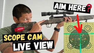 How To Bore Sight A Rifle At Home & Save Ammo At The Range! | 10 Yard Bore Sight For 100 Yards