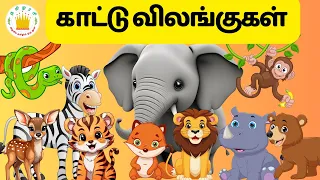 Learn Wild Animals Name Sound and Fun Fact in Tamil for Kids & children| Tamilarasi