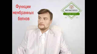 Функции мембранных белков. ЕГЭ Биология. ЕГЭ 2022.