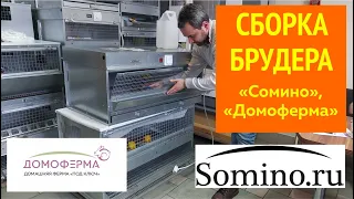 Сборка брудера для цыплят Сомино и Домоферма - видеоинструкция, распаковка