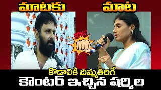 కొడాలి కి కౌంటర్ ఇచ్చిన షర్మిల | YS Sharmila Counter To Kodali Nani | Ys Sharmila VS KODALI NANI |TT