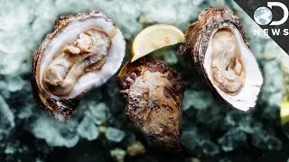 There's Only One Aphrodisiac According To Science