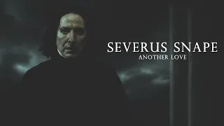 Severus Snape II Another Love