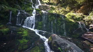 Water Fall Gentle, Divinely Beautiful Music & Nature! There Is Everything For The Soul To Relax!