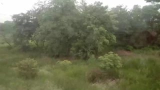 Chennai- Santragachi ac sf exp (22808)