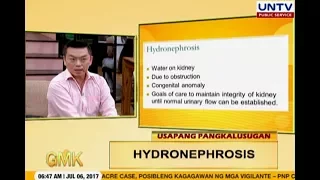 Hydronephrosis: Swollen Kidney | Usapang Pangkalusugan