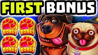 THE DOG HOUSE MEGAWAYS 🐶 SLOT 4 SCATTERS 🔥 ON MY FIRST BONUS BUY‼️