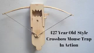 427 Year Old Style Crossbow Mouse Trap In Action. The Last of Mascall's Mouse Traps.